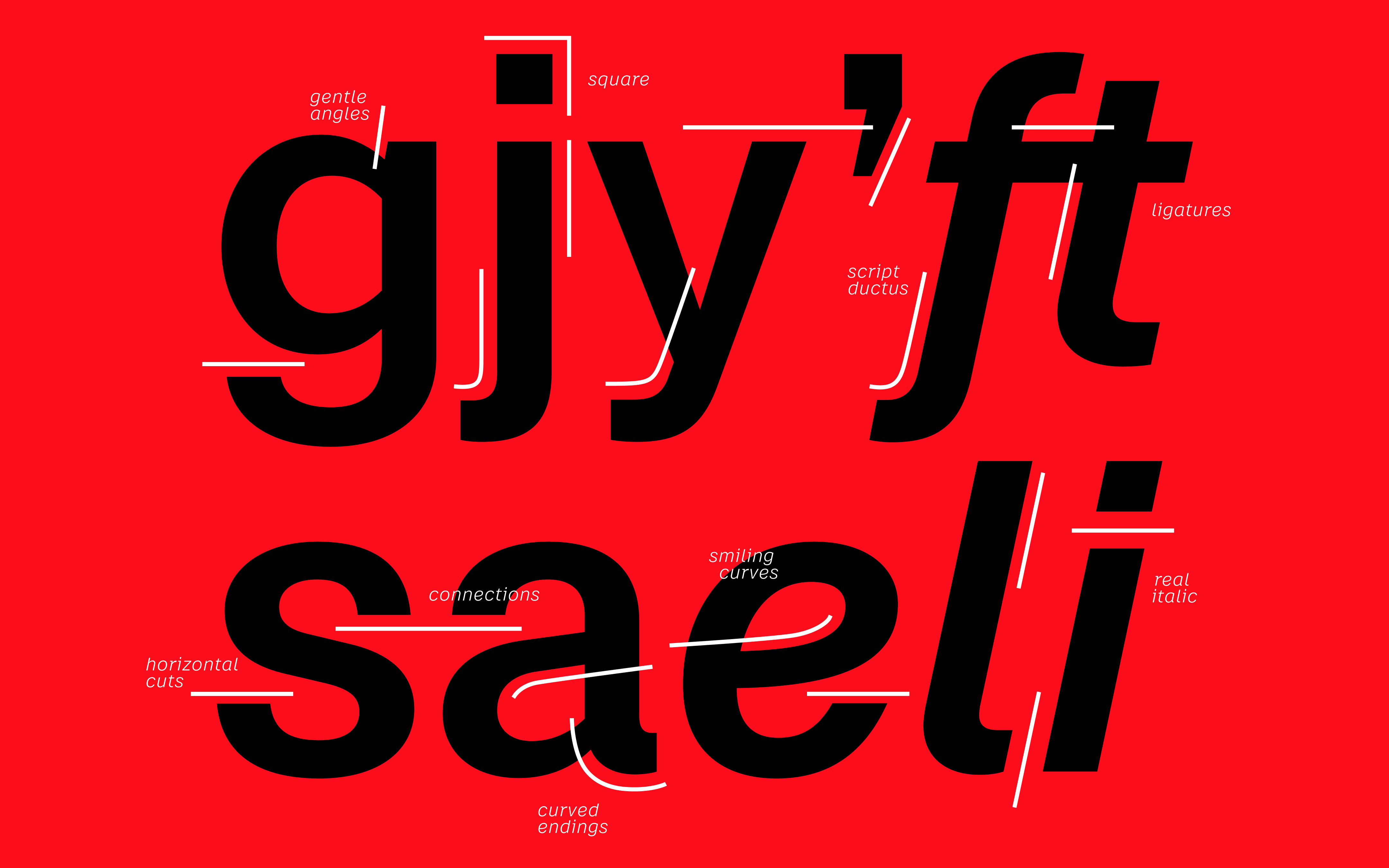 Case™ Typeface Collection by Fontwerk – font sample, marketing artwork (details)
