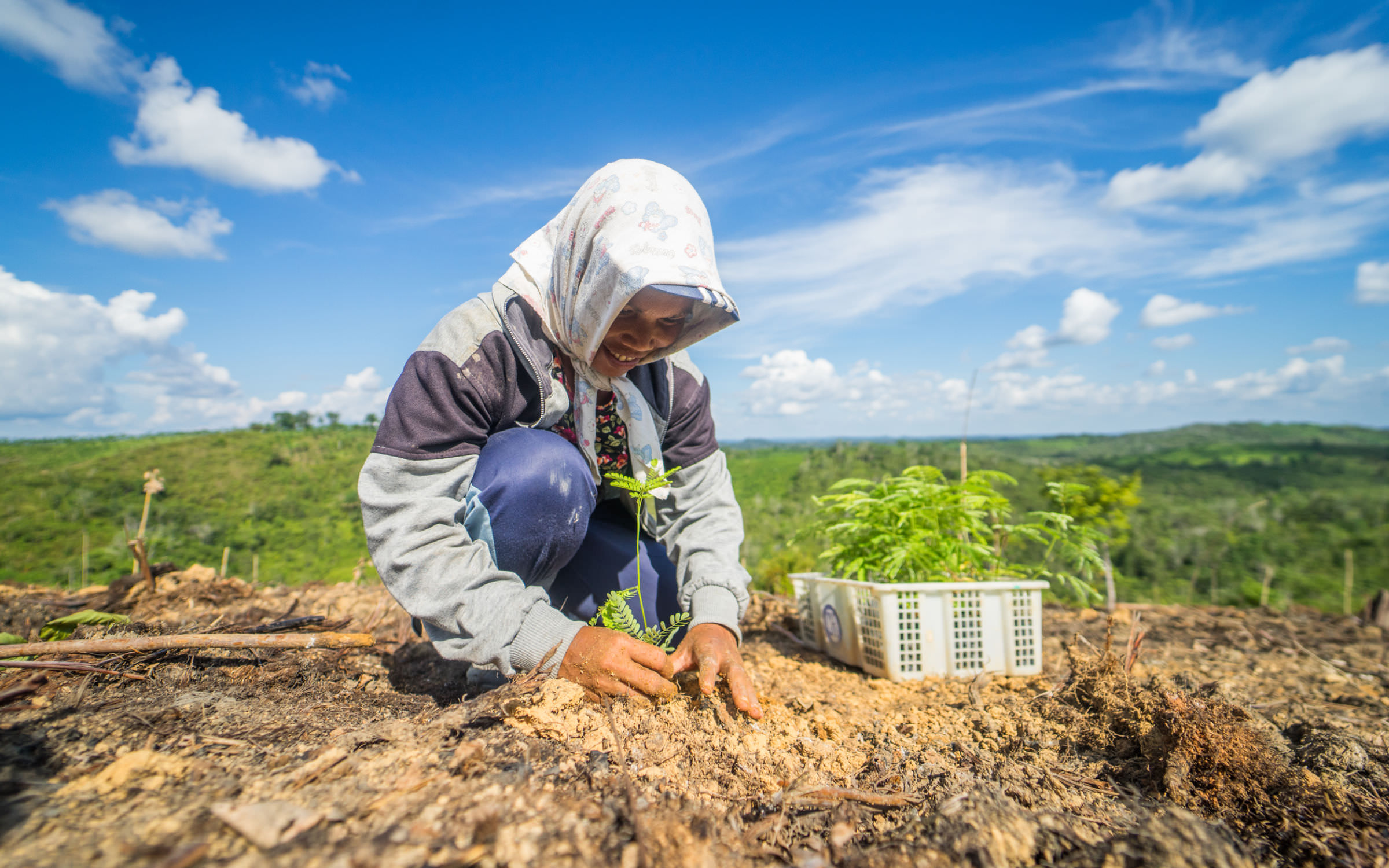 Giving a new home to seedlings in Indonesia