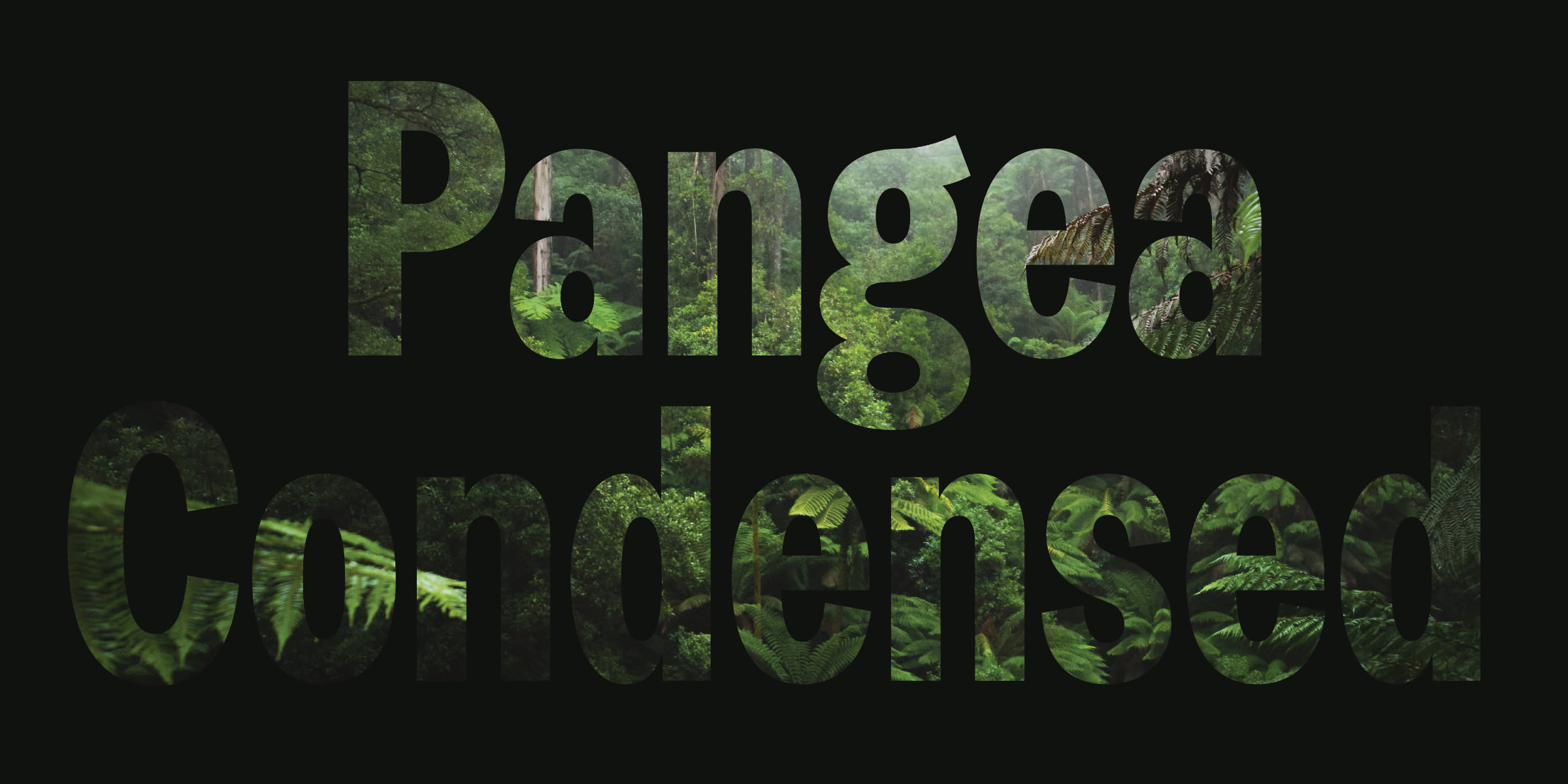 Coming soon: Pangea Condensed