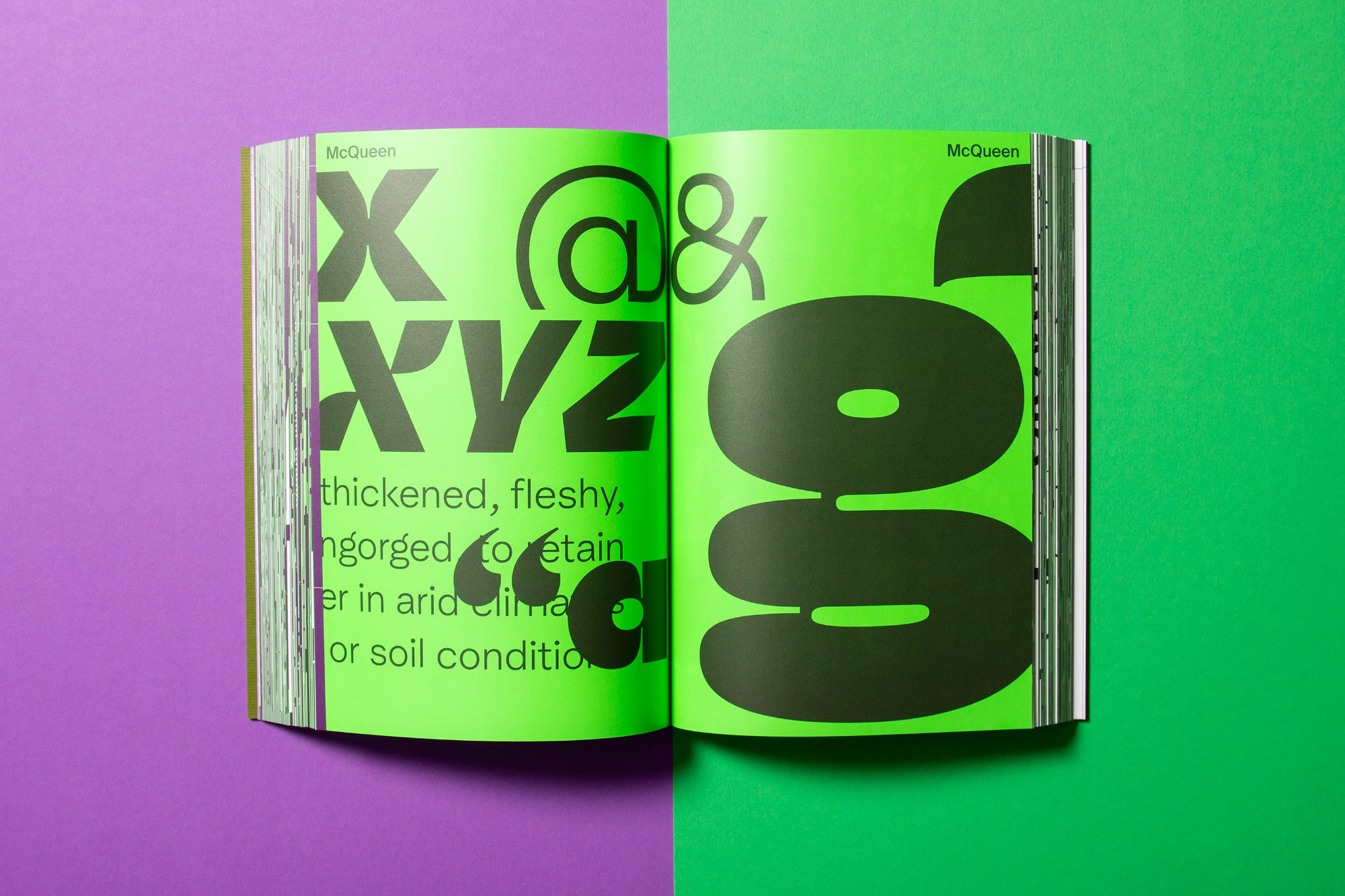 The McQueen Collection featured in the Yearbook of Type 7 (© Photo: Julien Fincker)