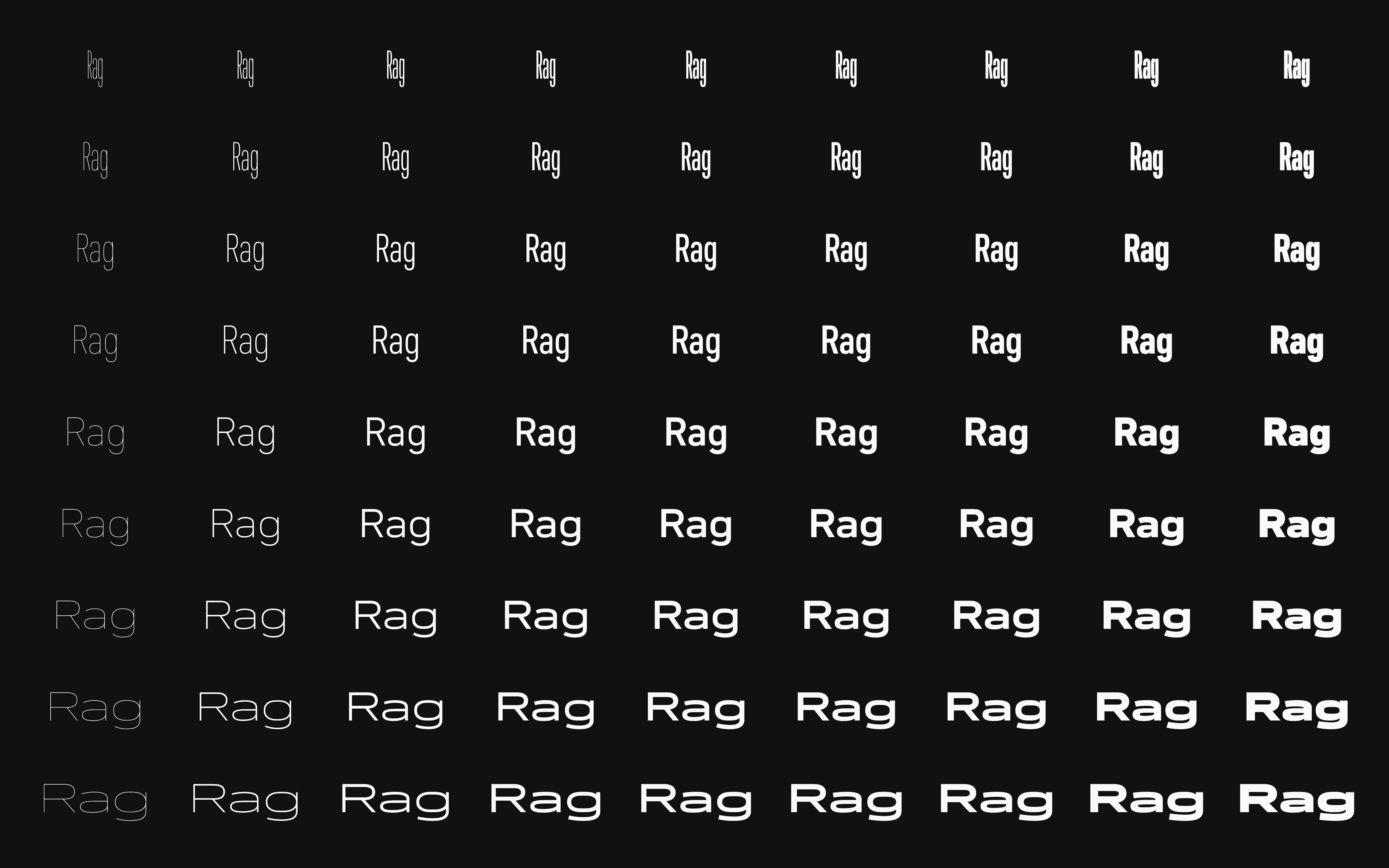 81 styles of Neue DIN type family